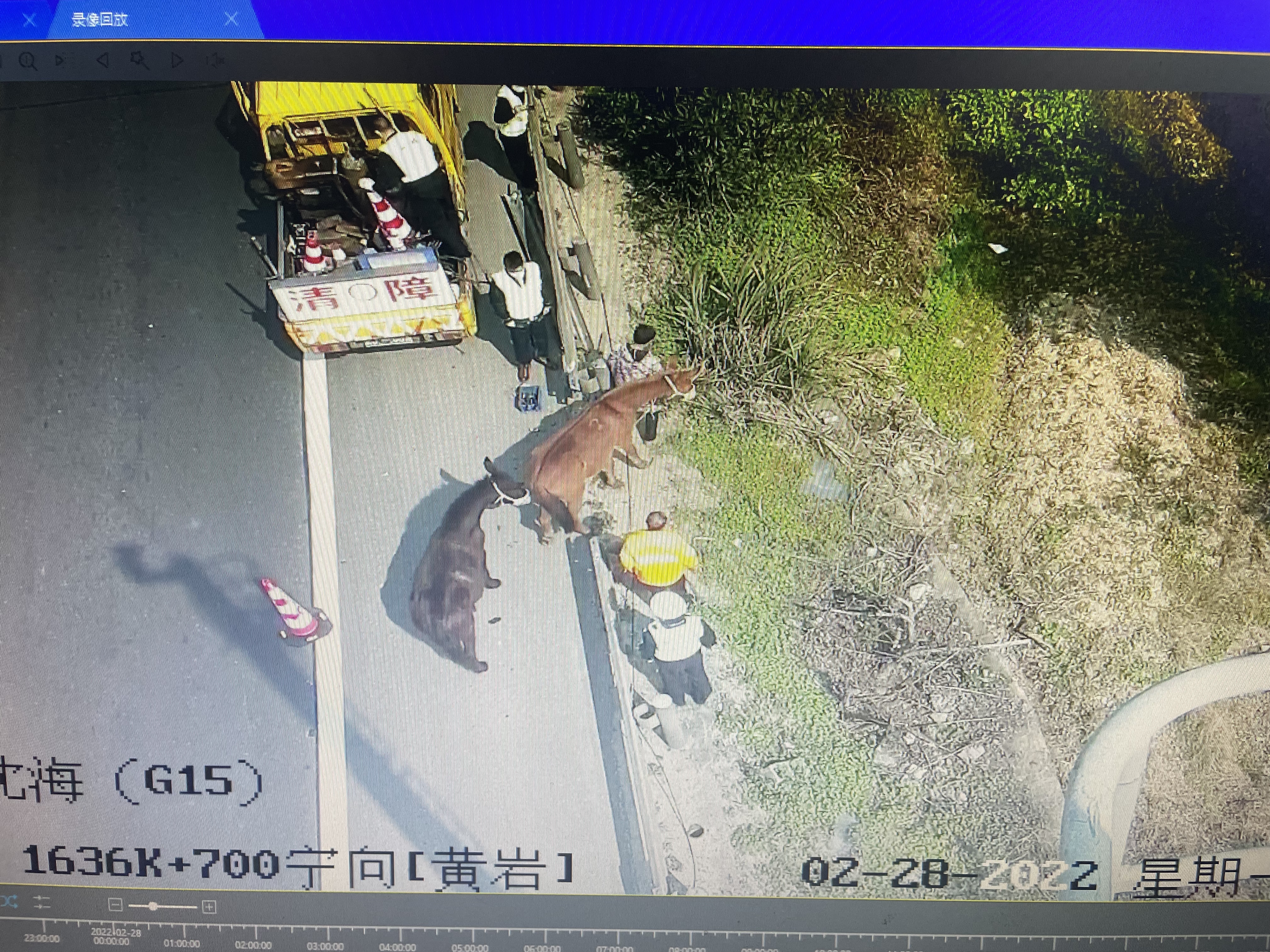 1646121756169628.jpg 1.jpg